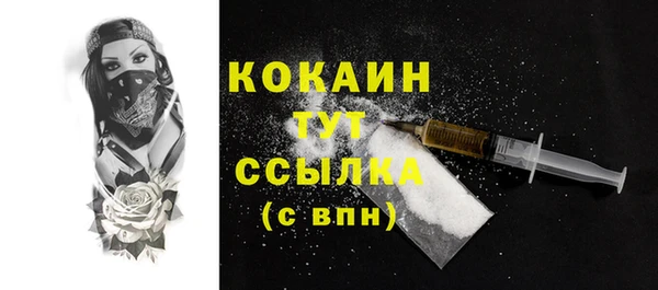 амф Гусиноозёрск