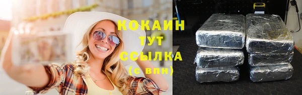 амф Гусиноозёрск