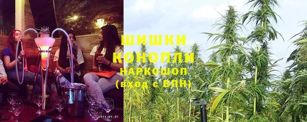 амф Гусиноозёрск