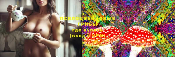 первитин Гусь-Хрустальный