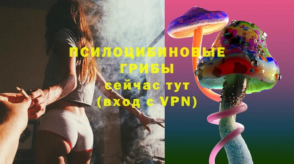первитин Гусь-Хрустальный