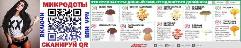 Купить где  Новосокольники  Псилоцибиновые грибы Cubensis 
